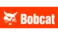 Bobcat