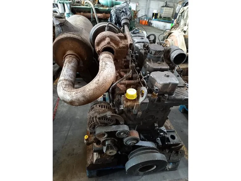 Moteur thermique pour CASE WX200